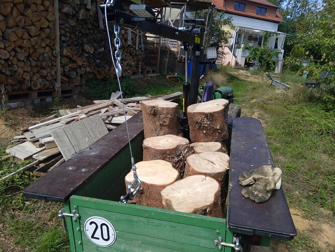 3392=820-KW36_Tannen_faellen_mit_Holder_Seilwinde_54.jpg