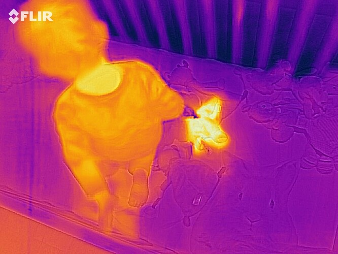 3445=826-flir_20200115T190920.jpg