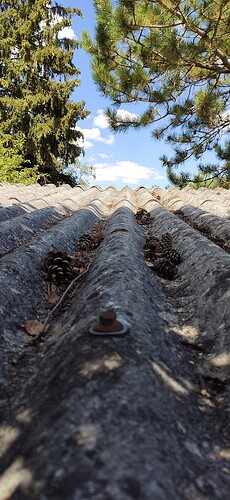 53743=8798-IMG_20220809_142957.jpeg