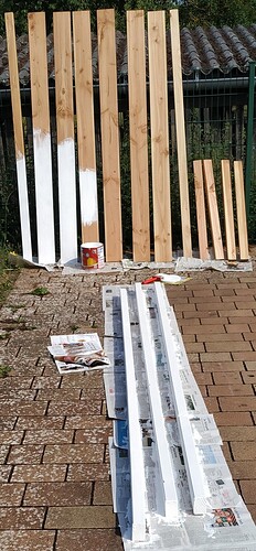 35329=6375-Zweiter-Tag_1.jpg