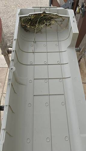 IMG-20240621-WA0007.jpeg