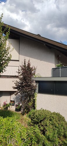 49056=8233-IMG_20220723_172956.jpg