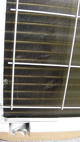 52173=8638-DSC00334.JPG