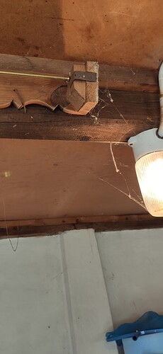 53743=8799-IMG_20220809_143041.jpeg