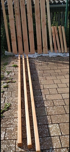 35329=6374-Erster_Tag.jpg