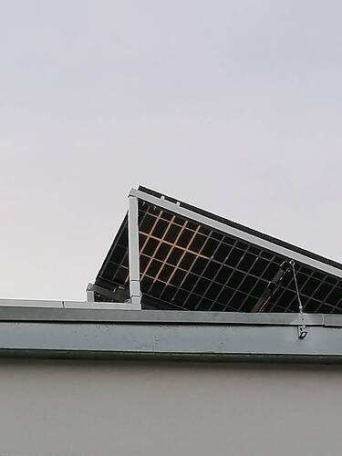 IMG_20230317_071900.jpg