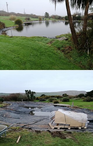 bischi pond