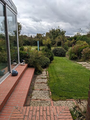 PXL_20241009_103047626