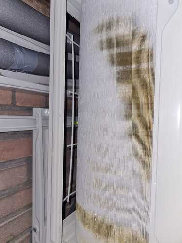 WhatsApp Image 2026-02-08 at 21.30.32