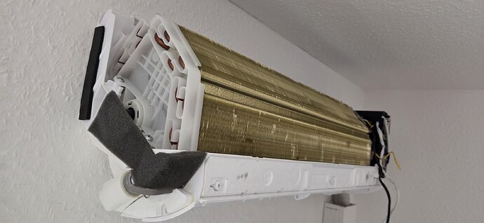 photo_2026-04-13_10-42-02