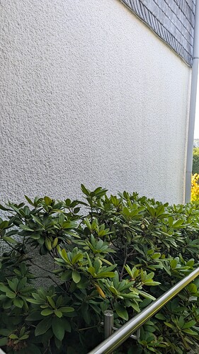PXL_20250718_065328848