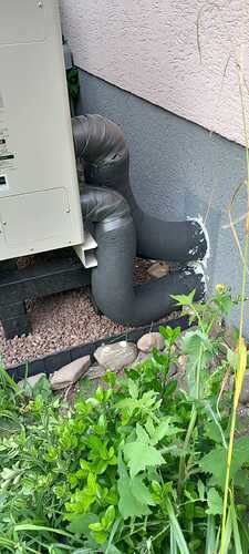 WhatsApp Image 2025-09-26 at 14.52.10