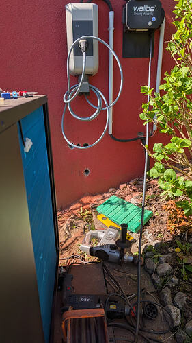 PXL_20260407_093547861