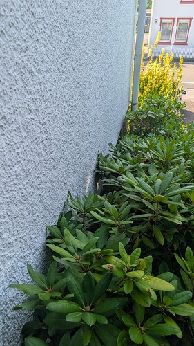PXL_20250718_065333071