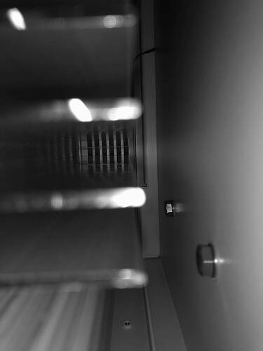 IMG_6451.jpeg