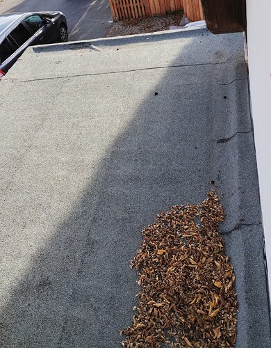 IMG_20251105_121937196~2