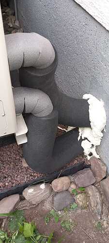 WhatsApp Image 2025-09-26 at 17.45.39