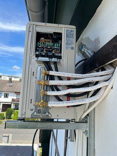 IMG_3349