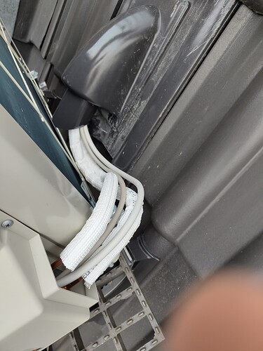 IMG_20250116_152418636