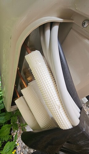 20250528_083119