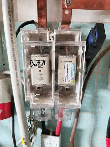 WhatsApp Image 2026-03-24 at 16.55.25