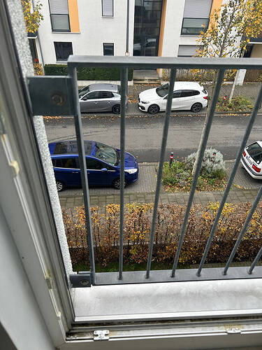 Küchengitter.jpeg