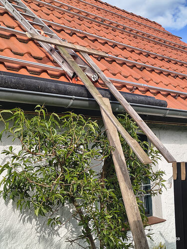 IMG_20260517_175831248_HDR