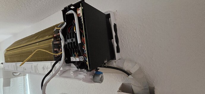 photo_2026-04-13_10-42-20