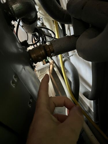 WhatsApp Image 2025-11-03 at 12.01.55