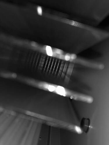 IMG_6452.jpeg
