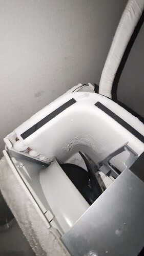 PXL_20260113_195405444_exported_1134