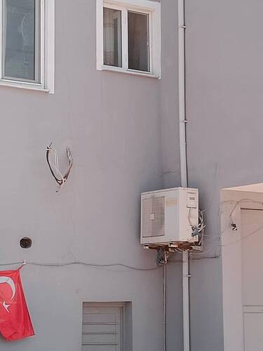 IMG20230513124730.jpg