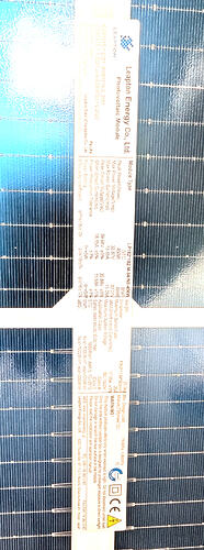 Leapton Module