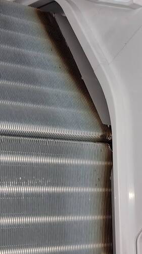 20230506_120300.jpg