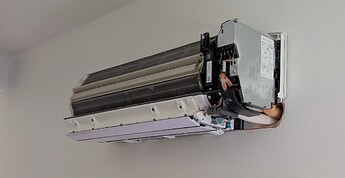 PXL_20251115_135839321