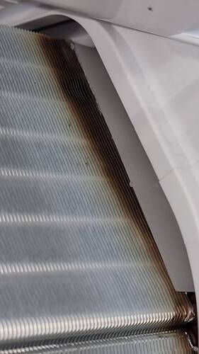 20230506_120304.jpg