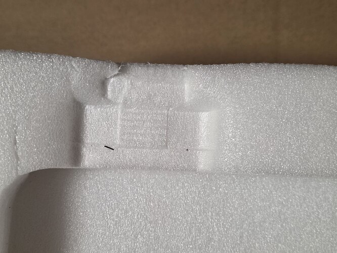 photo_1_2025-10-31_06-50-46