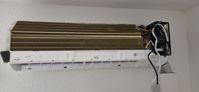 photo_2026-04-13_10-42-15