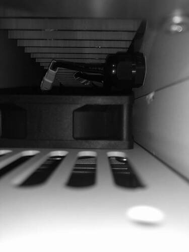 IMG_6449.jpeg