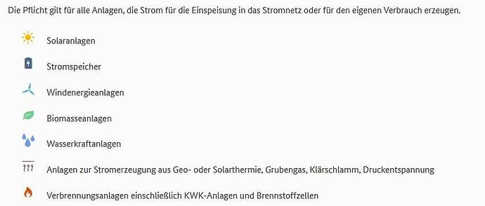 die_Pflicht.jpg
