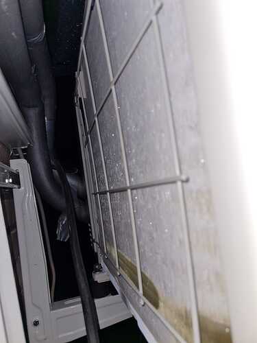 WhatsApp Image 2026-02-08 at 21.30.31