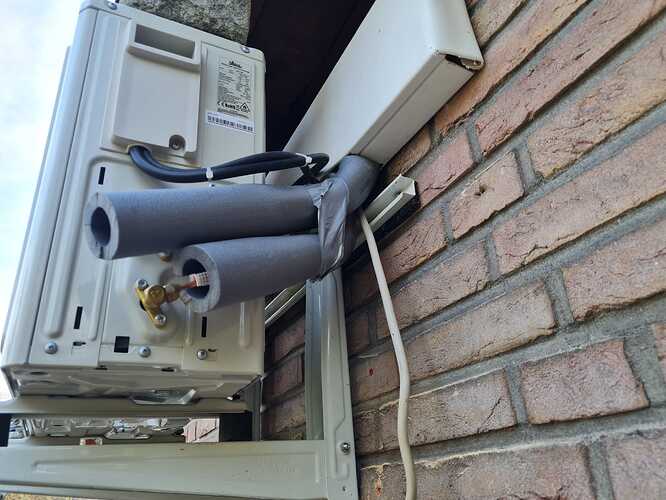 WhatsApp Image 2026-02-05 at 20.53.45