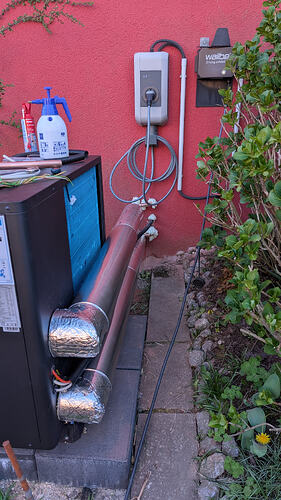 PXL_20260407_154944262