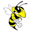 hornet