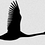 lemberger