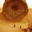 shai0hulud